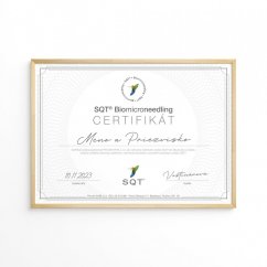 SQT školení s certifikátem