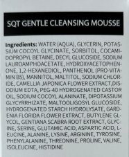 SQT Gentle Cleansing Mousse 150ml