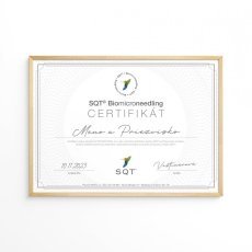 SQT školení s certifikátem